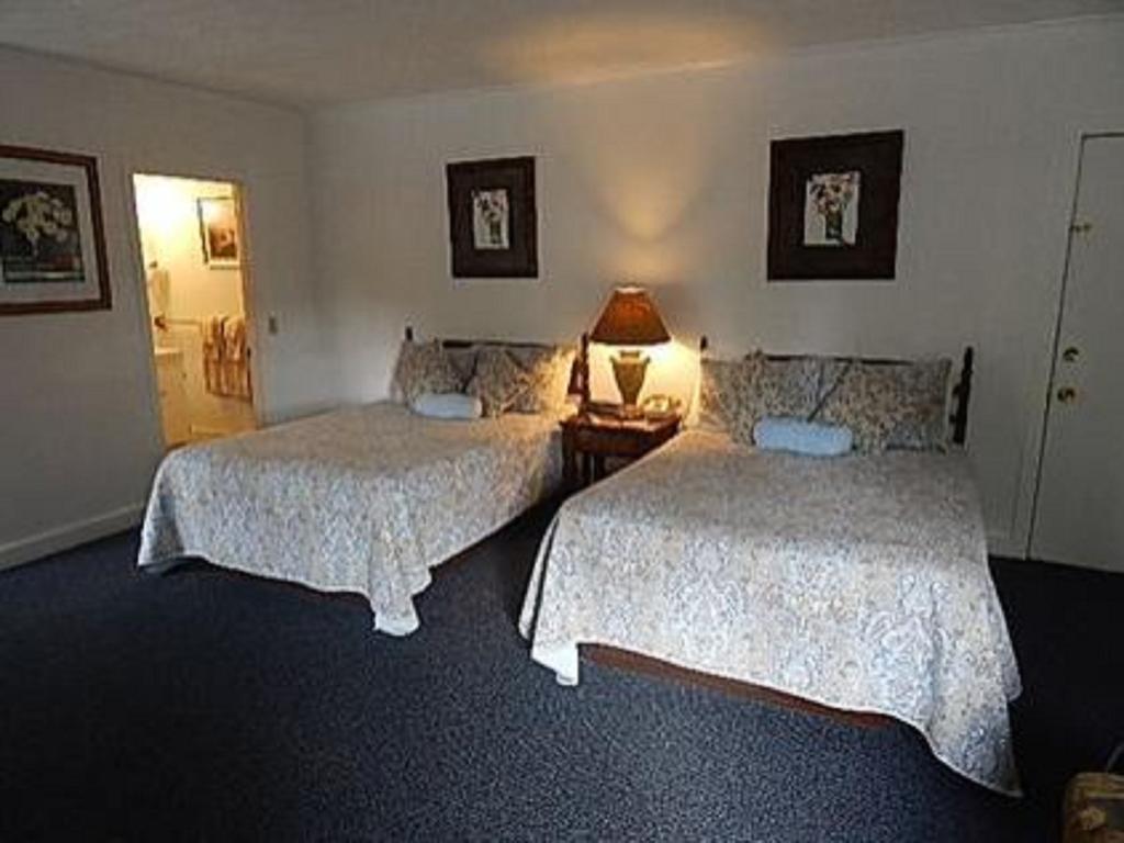 Acadia Sunrise Motel Trenton Zimmer foto